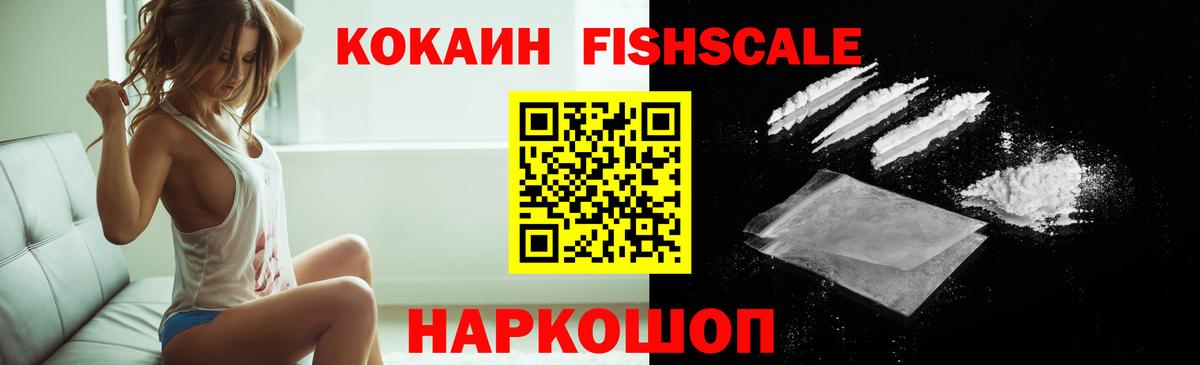 Cocaine  КОКАИН Fish Scale  Вход с VPN  Выборг  Cocaine Columbia 