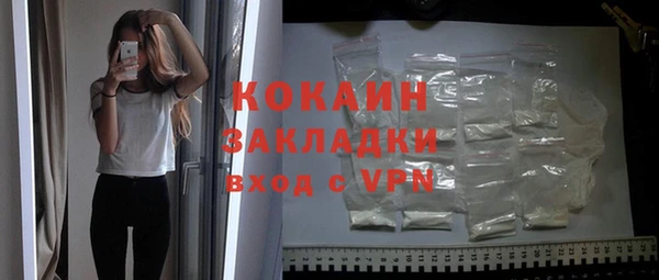 mdpv Бородино