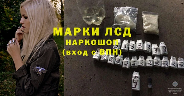 mdpv Бородино