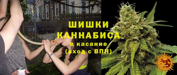 mdpv Бородино