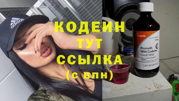mdpv Бородино