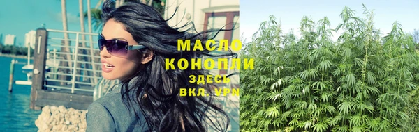 mdpv Бородино