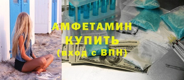 эйфоретик Тайга