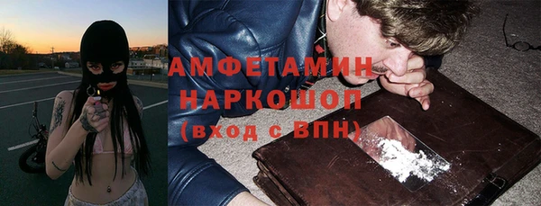 mdpv Бородино