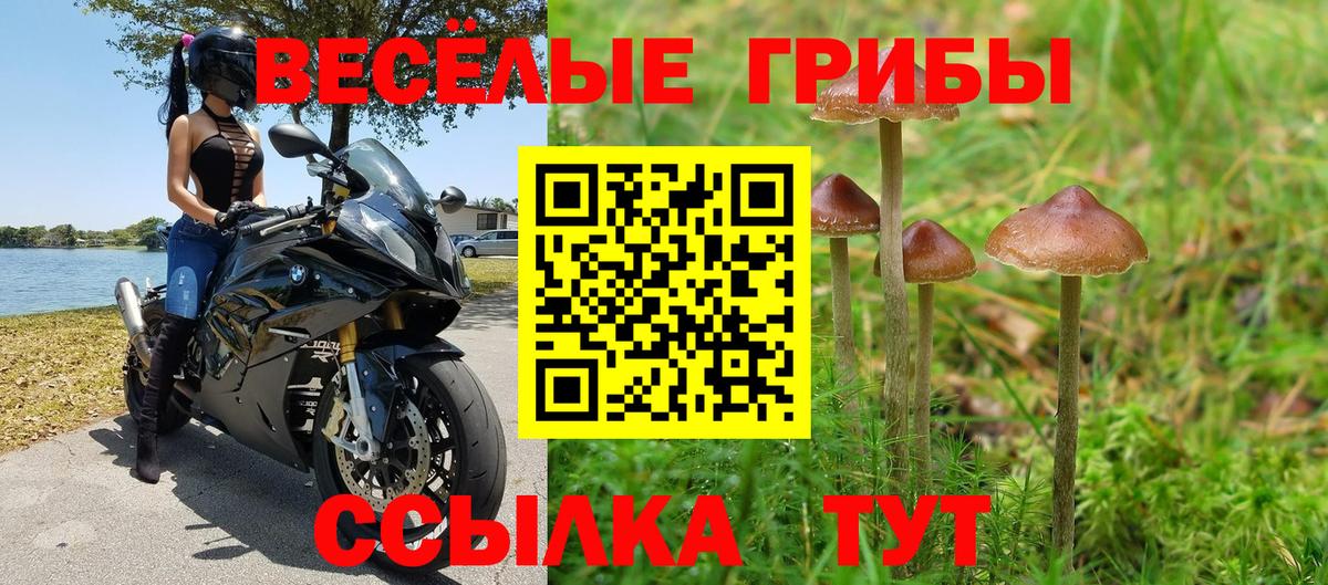 Галлюциногенные грибы мухоморы Выборг