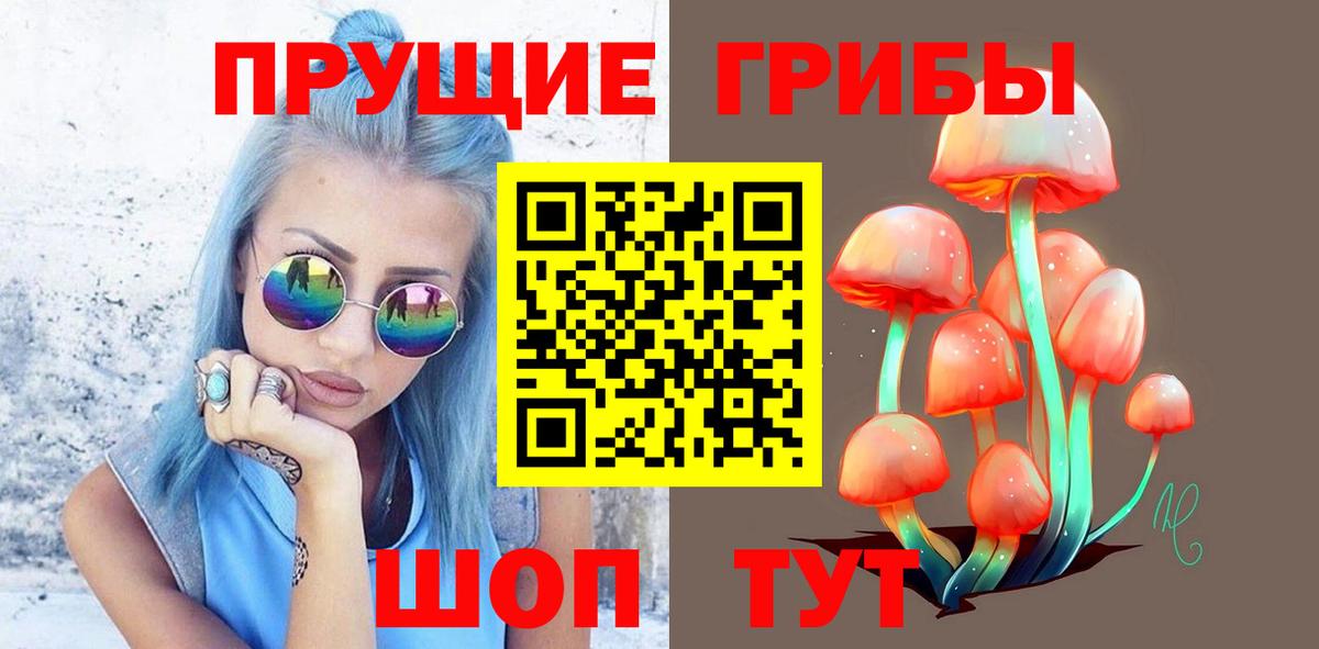 Псилоцибиновые грибы прущие грибы  Псилоцибиновые грибы Psilocybine cubensis  Выборг  Вход с VPN 