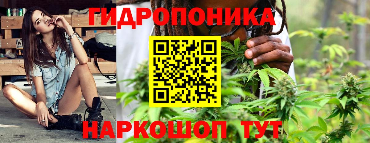 Выборг  Бошки Шишки SATIVA & INDICA  Вход с VPN  МАРИХУАНА индика  Каннабис MAZAR 